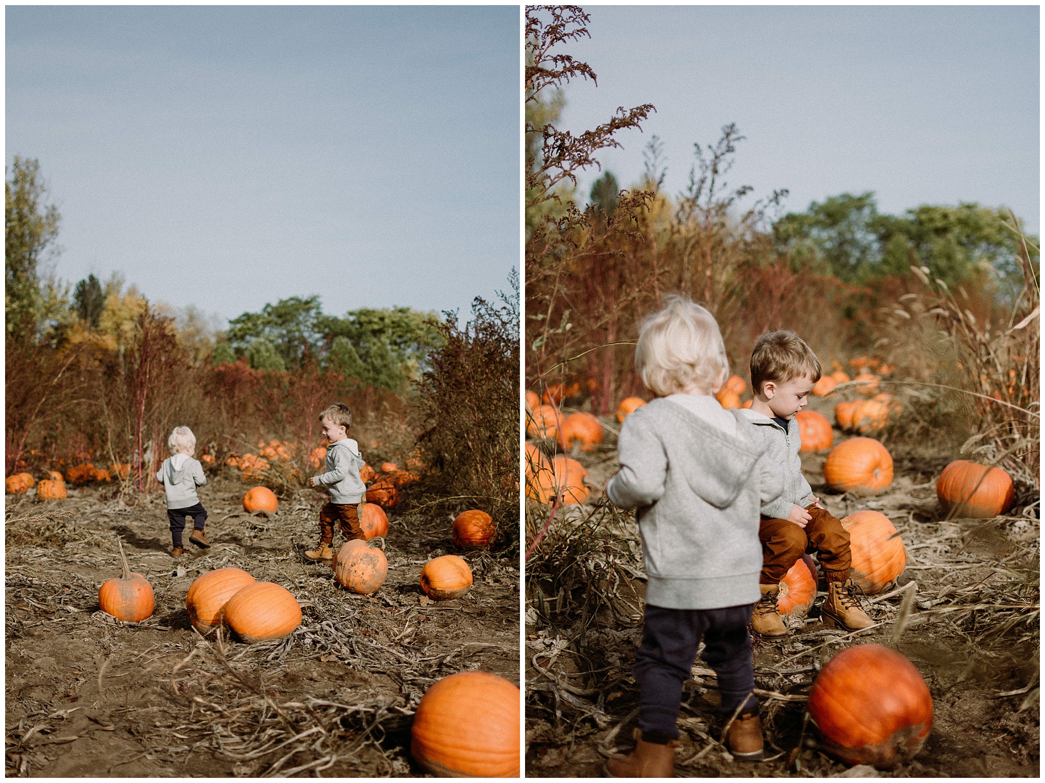 Brothers Pumpkin Patch Session