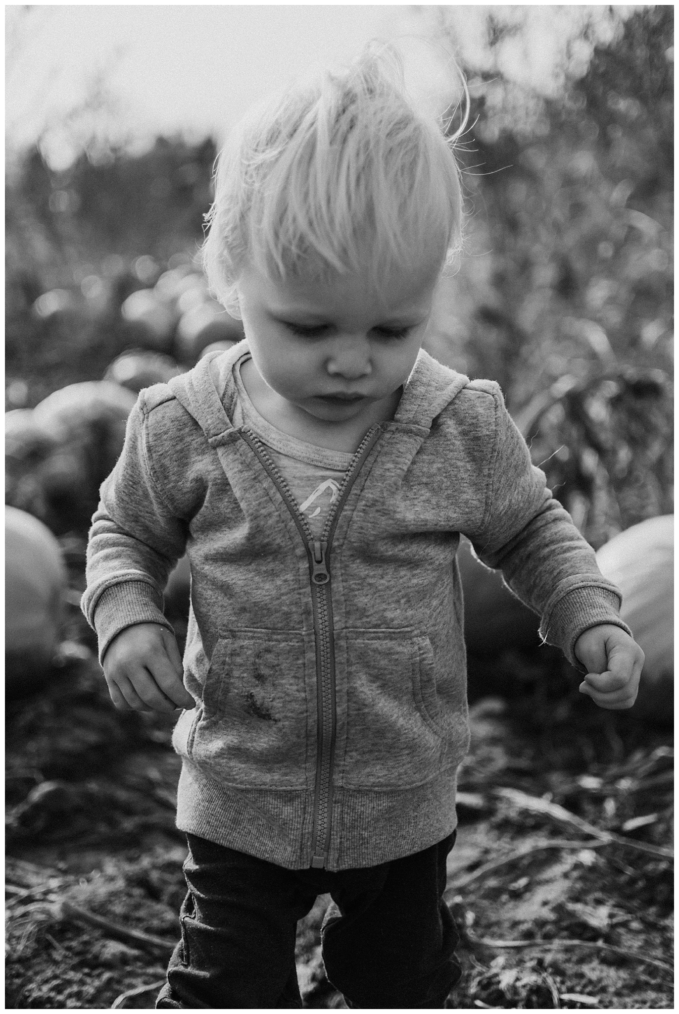 Brothers Pumpkin Patch Session